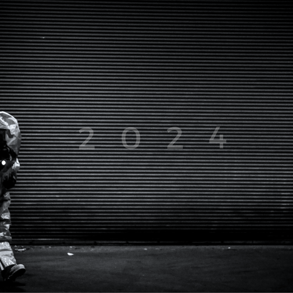 Phoebo 2024 Collection